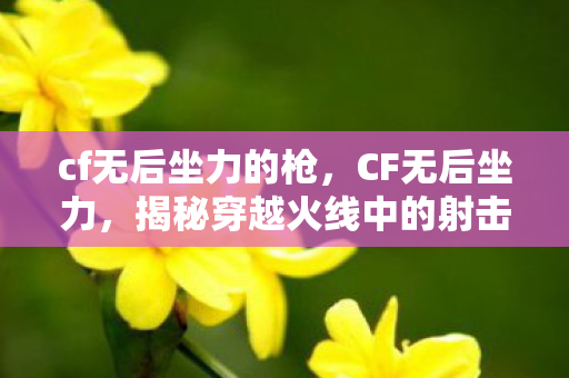 cf无后坐力的枪，CF无后坐力，揭秘穿越火线中的射击奥秘