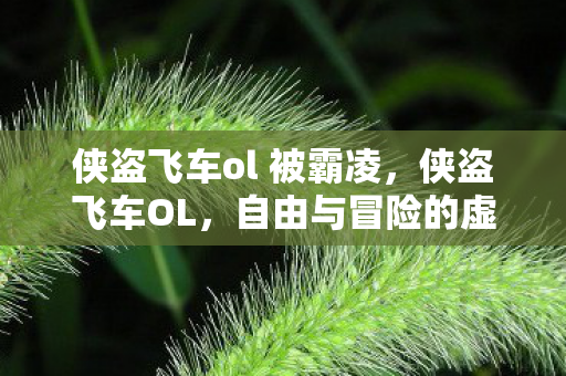 侠盗飞车ol 被霸凌,侠盗飞车OL,自由与冒险的虚拟世界 侠盗飞车ol 被霸凌,侠盗飞车OL,自由与冒险的虚拟世界