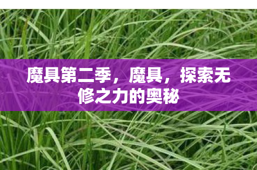 魔具第二季，魔具，探索无修之力的奥秘