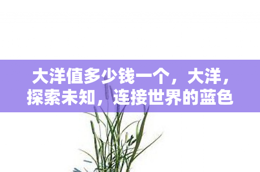 大洋值多少钱一个，大洋，探索未知，连接世界的蓝色纽带