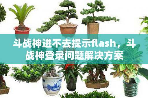 斗战神进不去提示flash图片