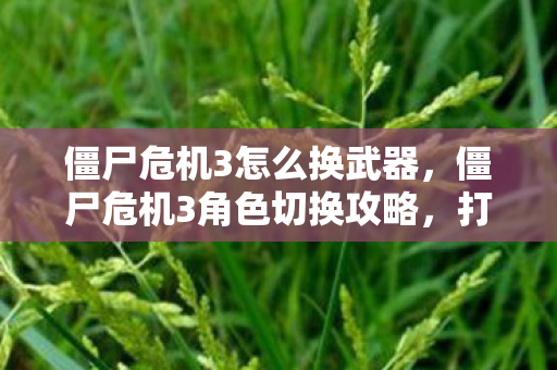 僵尸危机3怎么换武器，僵尸危机3角色切换攻略，打造无敌战斗组合