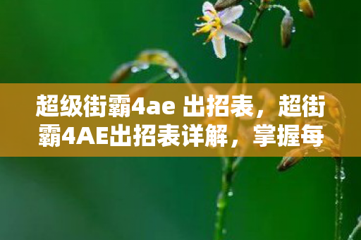 超级街霸4ae 出招表，超街霸4AE出招表详解，掌握每个角色的独特技能