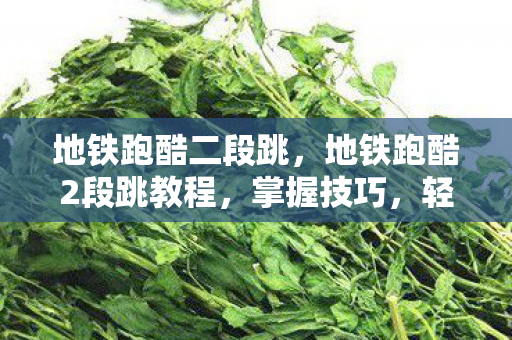 地铁跑酷二段跳，地铁跑酷2段跳教程，掌握技巧，轻松穿越障碍