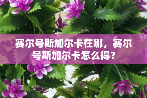 赛尔号斯加尔卡在哪，赛尔号斯加尔卡怎么得？