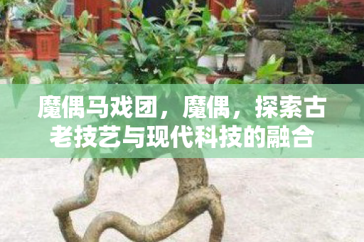 魔偶马戏团，魔偶，探索古老技艺与现代科技的融合