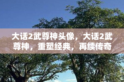 大话2武尊神头像,大话2武尊神,重塑经典,再续传奇 大话2武尊神头像,大话2武尊神,重塑经典,再续传奇