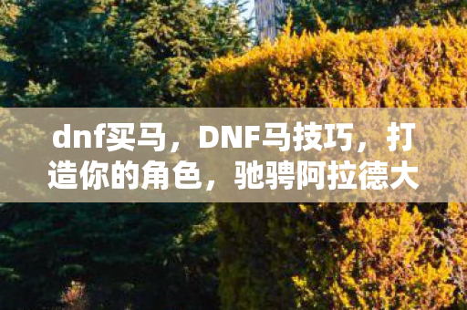 dnf买马，DNF马技巧，打造你的角色，驰骋阿拉德大陆