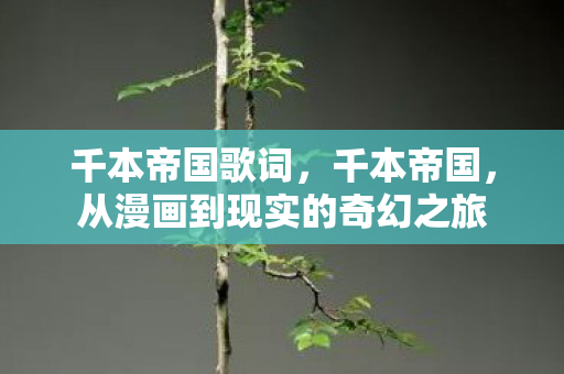 千本帝国歌词，千本帝国，从漫画到现实的奇幻之旅