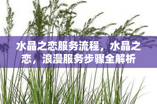 水晶之恋服务流程,水晶之恋,浪漫服务步骤全解析 水晶之恋服务流程,水晶之恋,浪漫服务步骤全解析