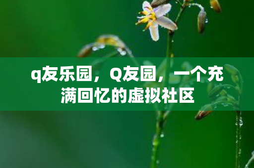 q友乐园，Q友园，一个充满回忆的虚拟社区