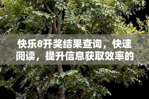 快乐8开奖结果查询，快速阅读，提升信息获取效率的技巧与工具