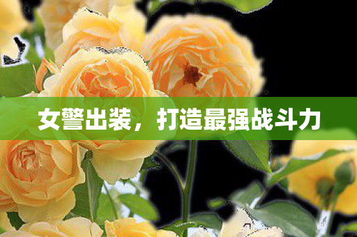女警出装,打造最强战斗力 女警出装,打造最强战斗力