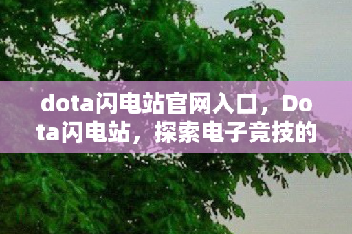 dota闪电站官网入口，Dota闪电站，探索电子竞技的激情与荣耀