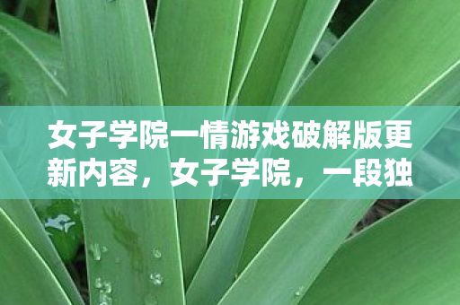 女子学院一情游戏破解版更新内容，女子学院，一段独特的教育旅程