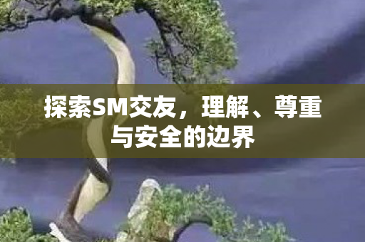 探索SM交友,理解、尊重与安全的边界 探索SM交友,理解、尊重与安全的边界