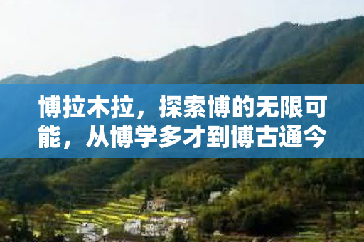 博拉木拉,探索博的无限可能,从博学多才到博古通今 博拉木拉,探索博的无限可能,从博学多才到博古通今