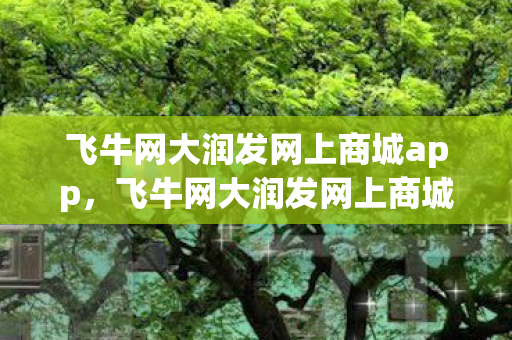 飞牛网大润发网上商城app,飞牛网大润发网上商城,重塑购物体验的新篇章 飞牛网大润发网上商城app,飞牛网大润发网上商城,重塑购物体验的新篇章