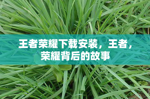 王者荣耀下载安装，王者，荣耀背后的故事