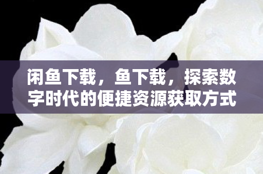 闲鱼下载，鱼下载，探索数字时代的便捷资源获取方式