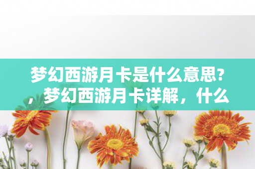 梦幻西游月卡是什么意思?,梦幻西游月卡详解,什么是梦幻西游月卡? 梦幻西游月卡是什么意思?,梦幻西游月卡详解,什么是梦幻西游月卡?