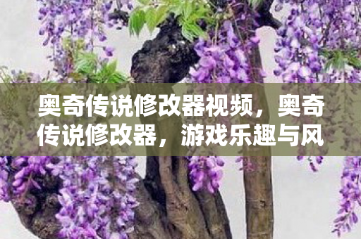 奥奇传说修改器视频，奥奇传说修改器，游戏乐趣与风险并存