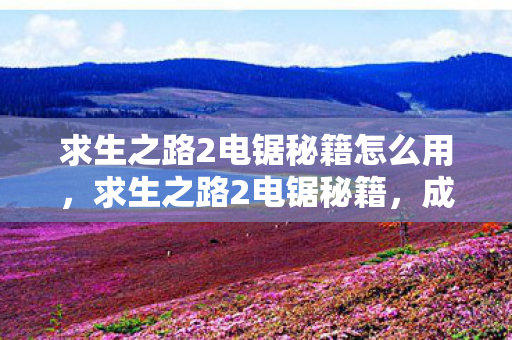 求生之路2电锯秘籍怎么用图片