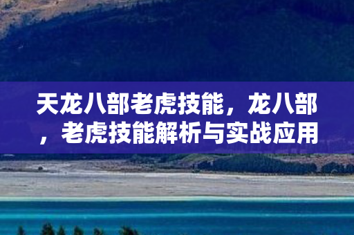 天龙八部老虎技能，龙八部，老虎技能解析与实战应用