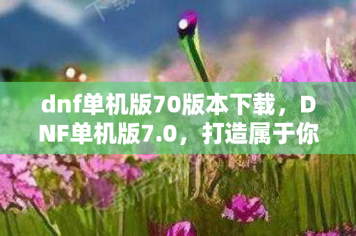 dnf单机版70版本下载图片