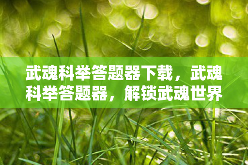 解锁武魂世界的智慧钥匙图片