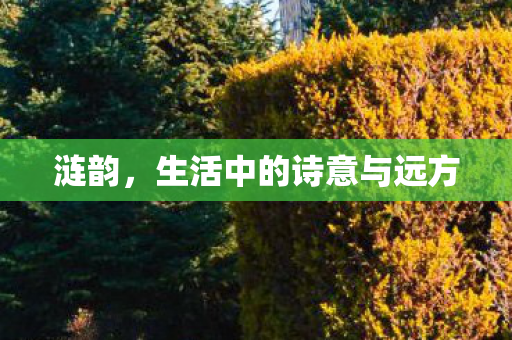 生活中的诗意与远方图片