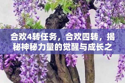 合欢4转任务，合欢四转，揭秘神秘力量的觉醒与成长之路