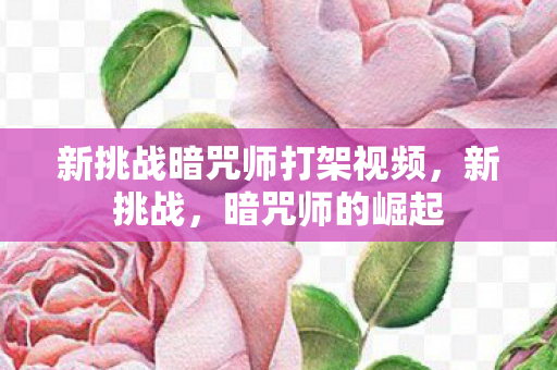 新挑战暗咒师打架视频,新挑战,暗咒师的崛起 新挑战暗咒师打架视频,新挑战,暗咒师的崛起