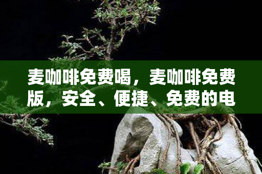 麦咖啡免费喝,麦咖啡免费版,安全、便捷、免费的电脑防护利器 麦咖啡免费喝,麦咖啡免费版,安全、便捷、免费的电脑防护利器
