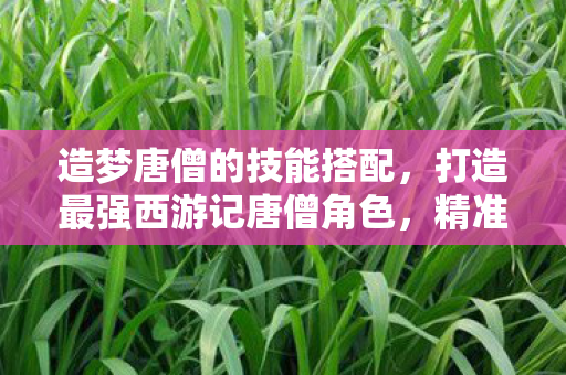 造梦唐僧的技能搭配，打造最强西游记唐僧角色，精准配招指南