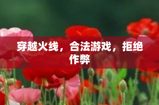 穿越火线，合法游戏，拒绝作弊