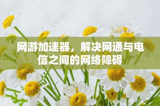 网游加速器,解决网通与电信之间的网络障碍 网游加速器,解决网通与电信之间的网络障碍