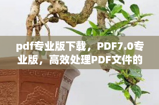pdf专业版下载，PDF7.0专业版，高效处理PDF文件的得力助手