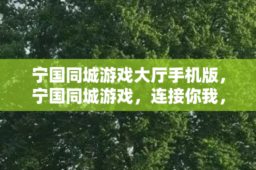 宁国同城游戏大厅手机版，宁国同城游戏，连接你我，共筑欢乐时光