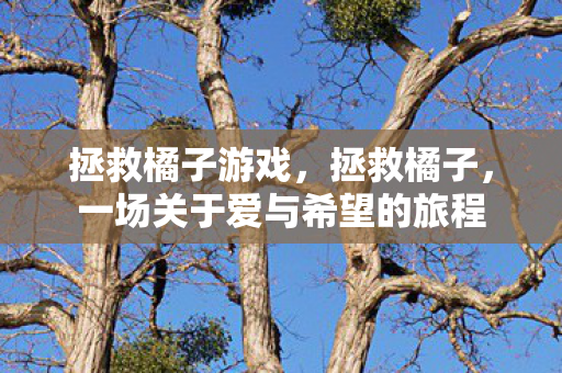 一场关于爱与希望的旅程图片