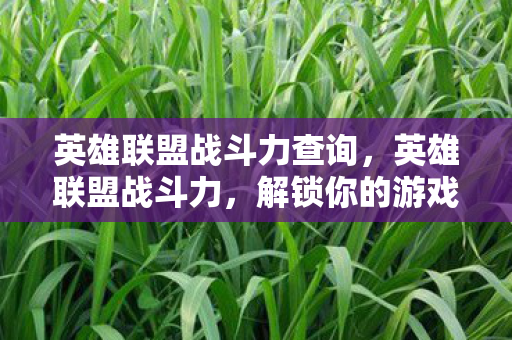 英雄联盟战斗力查询图片