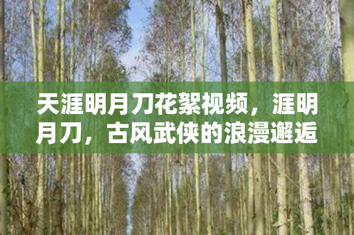 天涯明月刀花絮视频图片