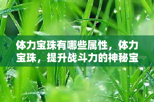 提升战斗力的神秘宝物图片