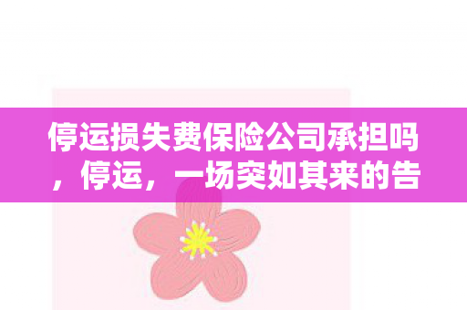 停运损失费保险公司承担吗图片