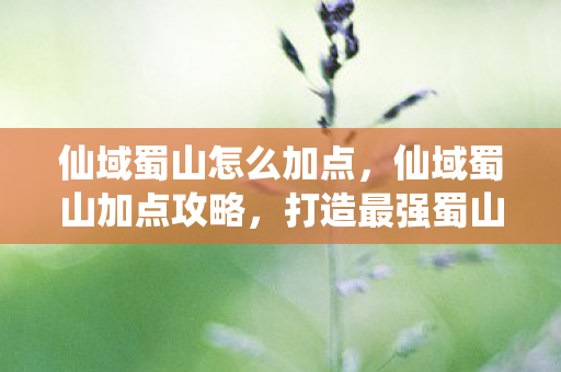 仙域蜀山怎么加点图片