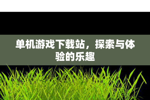 单机游戏下载站，探索与体验的乐趣
