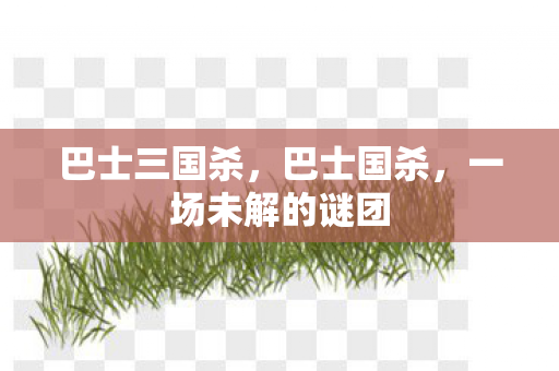 一场未解的谜团图片