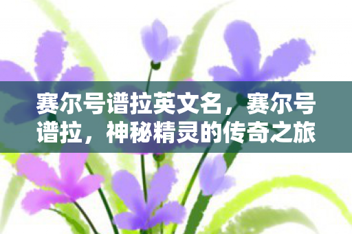 神秘精灵的传奇之旅图片