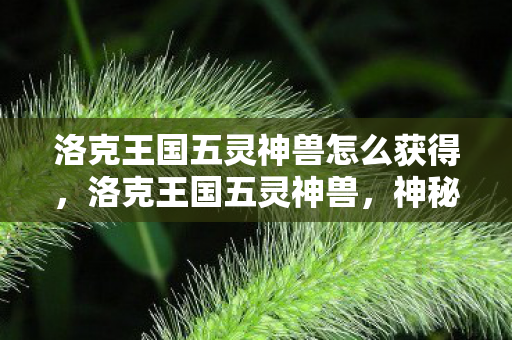 洛克王国五灵神兽怎么获得图片