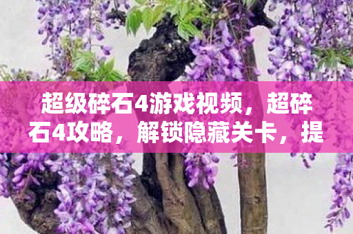 提升战斗力的终极指南图片